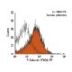 P-Selectin/CD62P/SELP Antibody (P8G6) - Flow Cytometry - Image 153080 