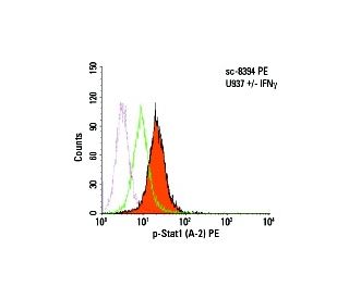 p-Stat1 Antibody (A-2) - Flow Cytometry - Image 5938 