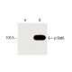 p-Stat6 Antibody (pY641.18) - Western Blotting - Image 60203 