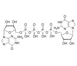 P1, P4-Di-(guanosine-5&prime;)-tetraphosphate tetrasodium salt (CAS 4130-19-2) - chemical structure image