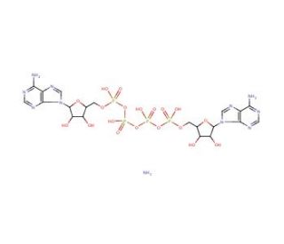P1,P4-Di(adenosine-5′) tetraphosphate ammonium salt (CAS 102783-36-8) - chemical structure image
