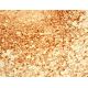 PA28α Antibody (G-9) - Immunohistochemistry - Image 411482