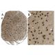 PAC-1 Antibody (4O21) - Immunohistochemistry - Image 37673 