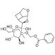 Paeoniflorin (CAS 23180-57-6) - chemical structure image