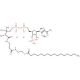 Palmitoyl coenzyme A lithium salt 的分子结构, CAS编号: 188174-64-3 Palmitoyl coenzyme A lithium salt (CAS 188174-64-3) - chemical structure image