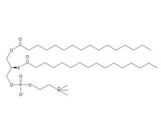 Palmitoyl Thio-PC (CAS 113881-60-0) - chemical structure image