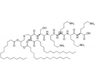 Pam3Cys-Ser-(Lys)4 trihydrochloride (CAS 112208-04-5) - chemical structure image