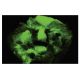PAPSS 2 Antibody (SQ-19) - Immunofluorescence - Image 35680