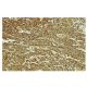 PDZK1 Antibody (F-36) - Immunohistochemistry - Image 35975
