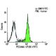 CD31/PECAM-1 Antibody (P2B1) - Flow Cytometry - Image 6313 