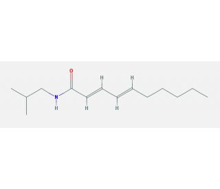 Pellitorine (CAS 18836-52-7) - chemical structure image