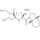 Perindopril (CAS 82834-16-0) - chemical structure image