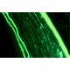 Perlecan Antibody (A7L6) - Immunofluorescence - Image 12155