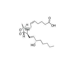 PGH2 (Prostaglandin H2), 1 mg/500 µl (CAS 42935-17-1) - chemical structure image