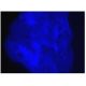 Phalloidin CruzFluor™ 350 Conjugate: sc-363789. Fluorescence staining of formalin-fixed HepG2 cells showing F-actin