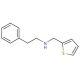 Phenethyl-thiophen-2-ylmethyl-amine - chemical structure image