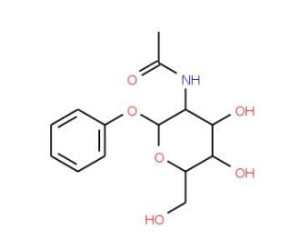 Phenyl 2-acetamido-2-deoxy-b-D-glucopyranoside (CAS 5574-80-1) - chemical structure image