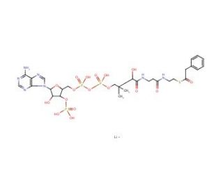 Phenylacetyl coenzyme A lithium salt (CAS 108321-26-2) - chemical structure image