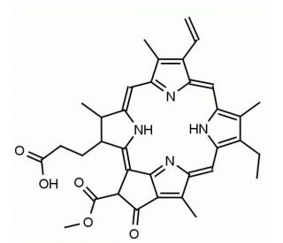 Pheophorbide a (CAS 15664-29-6) - chemical structure image