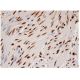 PHF21A Antibody (F-9) - Immunohistochemistry - Image 284928 