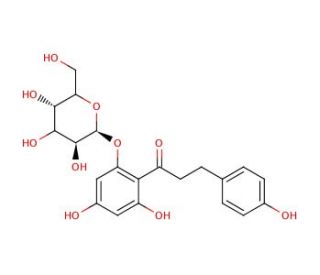Phloridzin (CAS 60-81-1) - chemical structure image