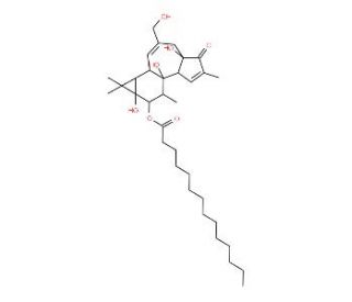 Phorbol-12-monomyristate (CAS 20839-06-9) - chemical structure image