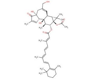 Phorbol-12-Retinoate-13-Acetate (CAS 80188-99-4) - chemical structure image
