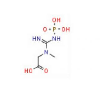 Phosphocreatine (CAS 67-07-2) - chemical structure image