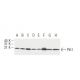 Pin1 Antibody (8C10) - Western Blotting - Image 62946 