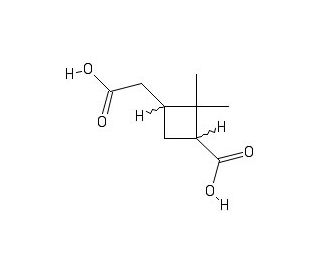 Pinic Acid (CAS 28664-02-0) - chemical structure image
