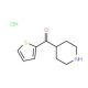 Piperid-4-yl(thien-2-yl)methanone hydrochloride (CAS 219540-76-8) - chemical structure image