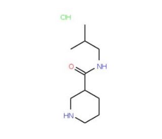 Piperidine-3-carboxylic acid isobutylamide hydrochloride (CAS 937725-08-1) - chemical structure image