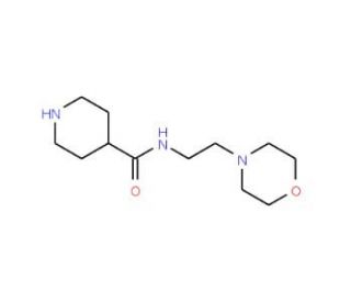 Piperidine-4-carboxylic acid (2-morpholin-4-yl-ethyl)-amide - chemical structure image