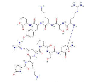 PKC substrate (MBP) (CAS 136132-68-8) - chemical structure image