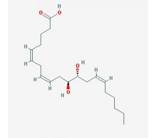 (&plusmn;)11,12-DHET - chemical structure image