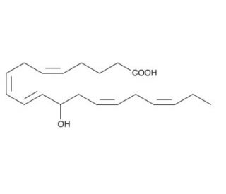 (&plusmn;)12-HEPE (CAS 81187-21-5) - chemical structure image