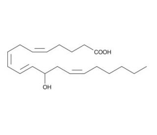 (&plusmn;)12-HETE (CAS 71030-37-0) - chemical structure image