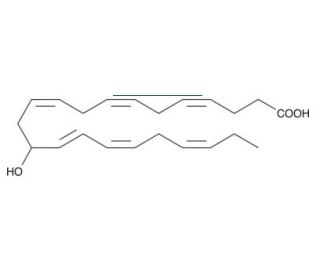 (&plusmn;)13-HDoHE (CAS 90780-53-3) - chemical structure image