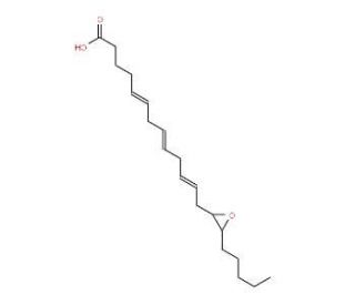 (&plusmn;)14(15)-EET - chemical structure image
