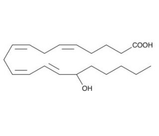 (&plusmn;)15-HETE (CAS 73836-87-0) - chemical structure image