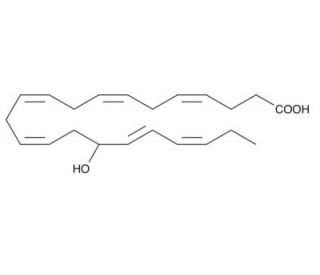 (&plusmn;)16-HDoHE (CAS 90780-51-1) - chemical structure image