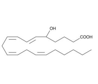(&plusmn;)5-HETE (CAS 73307-52-5) - chemical structure image