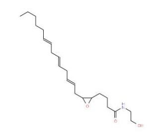 (&plusmn;)5(6)-EET Ethanolamide - chemical structure image