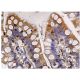 POFUT2 Antibody (G-1) - Immunohistochemistry - Image 160045 