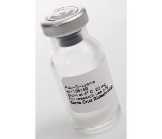 Poly-D-Lysine: sc-136156...