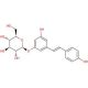 Polydatin (CAS 65914-17-2) - chemical structure image
