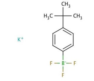 Potassium 4-tert-butylphenyltrifluoroborate (CAS 423118-47-2) - chemical structure image