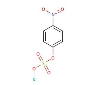 Potassium p-Nitrophenyl Sulphate (CAS 6217-68-1) - chemical structure image