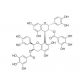 Procyanidin B2 3,3′-di-O-gallate (CAS 79907-44-1) - chemical structure image