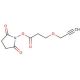 Propargyl-succinimidyl-ester (CAS 1174157-65-3) - chemical structure image